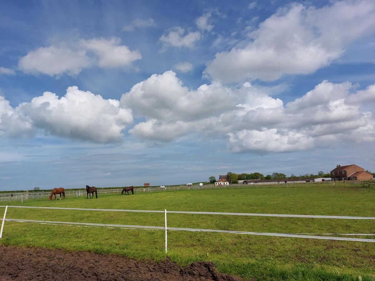 فندق Braemar Equestrian, East Riding Of Yorkshire Burton Pidsea المظهر الخارجي الصورة
