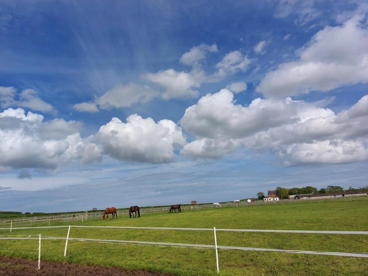 فندق Braemar Equestrian, East Riding Of Yorkshire Burton Pidsea المظهر الخارجي الصورة