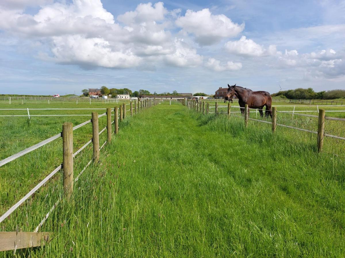 فندق Braemar Equestrian, East Riding Of Yorkshire Burton Pidsea المظهر الخارجي الصورة